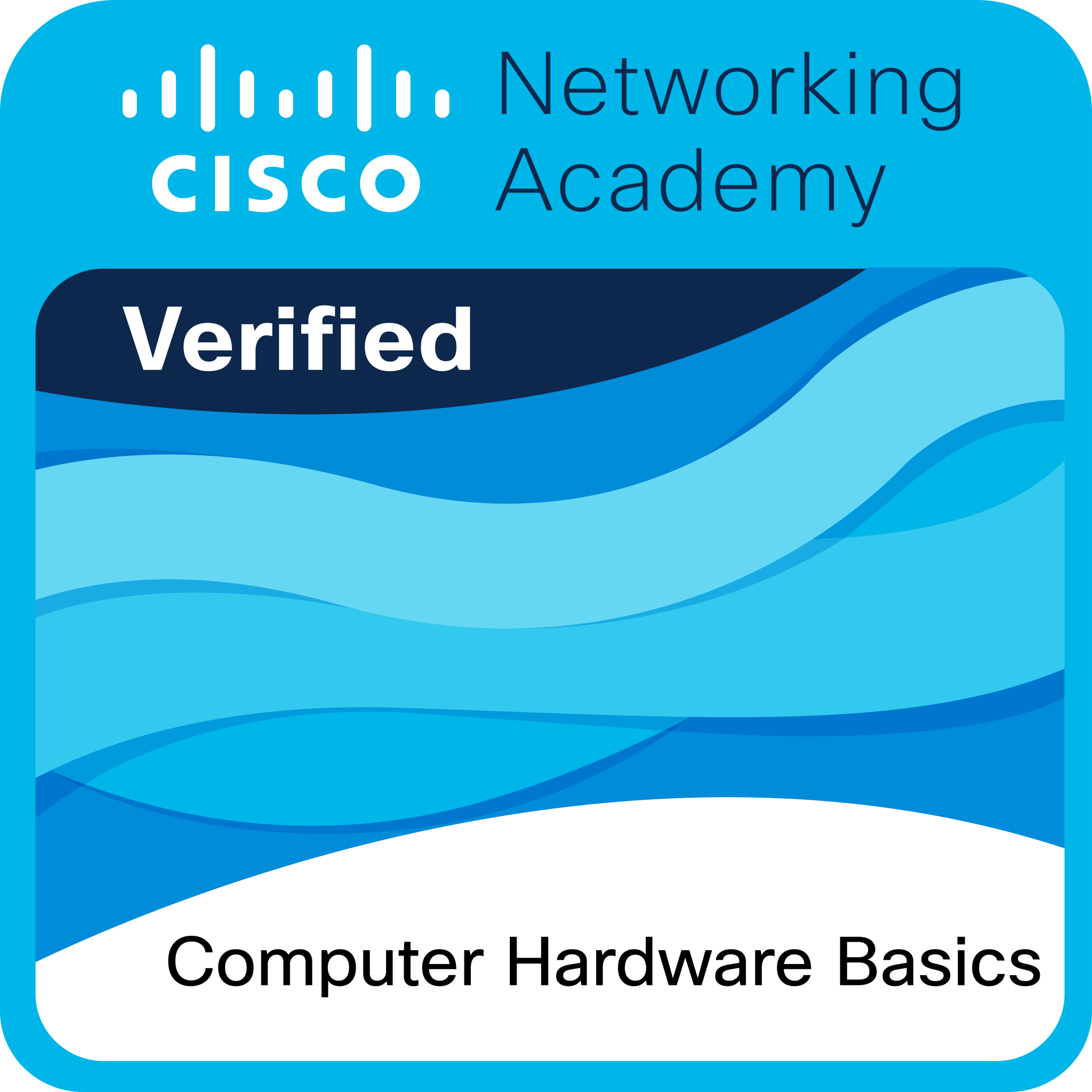 Badge Computer Hardware Basics